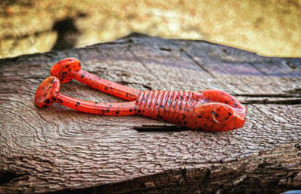 Ambush (Color: Tribe Oneida (Fire Craw))