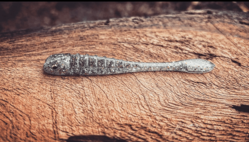 The Gadsden (Color: Swampfox (Silver Shiner))